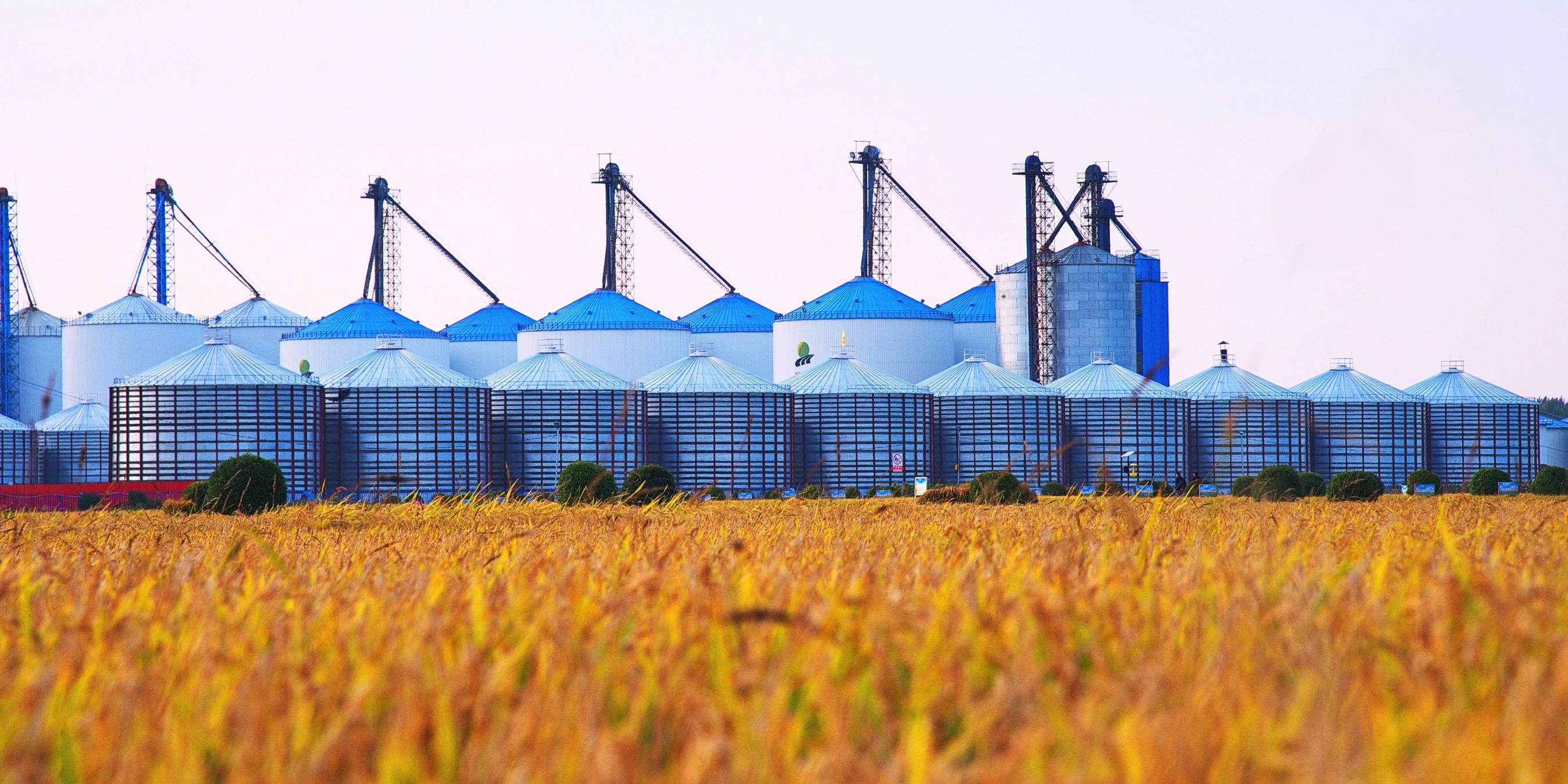 K8官网 - 天生赢家·一触即发